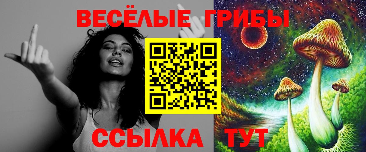 Первоуральск  Псилоцибиновые грибы Psilocybine cubensis  Вход с VPN 