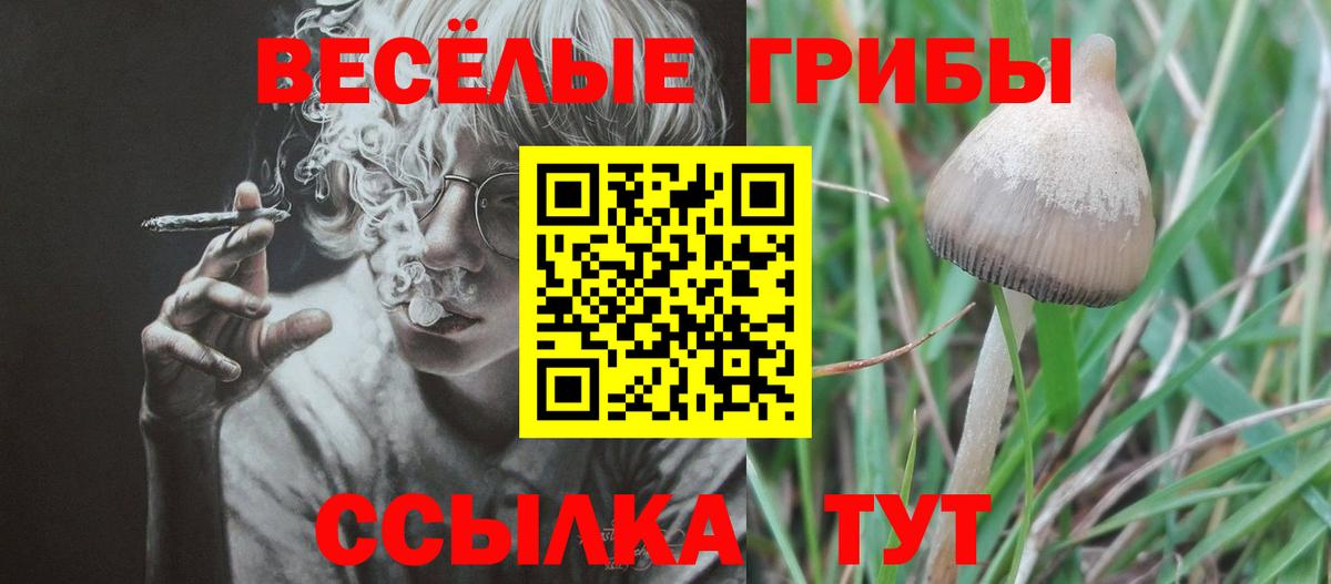 Псилоцибиновые грибы GOLDEN TEACHER Первоуральск